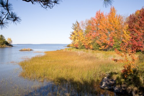 Lake Nipissing Orange