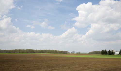 Farmland Near Conestogo