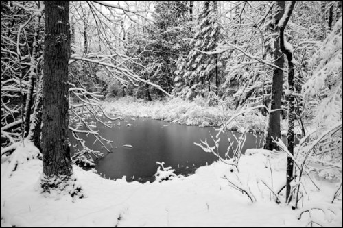 Moffat's Pond BW