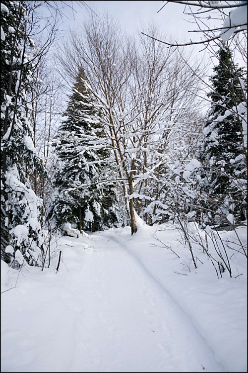 Jack and Helen's Trail