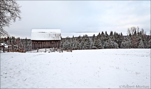Barn Field Forest
