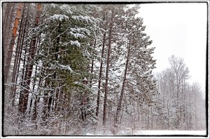 West Peninsula & Peninsula