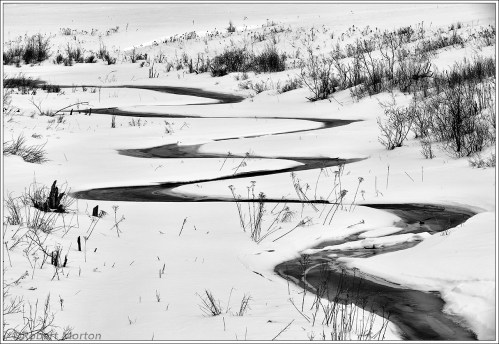 Winter-Meanders