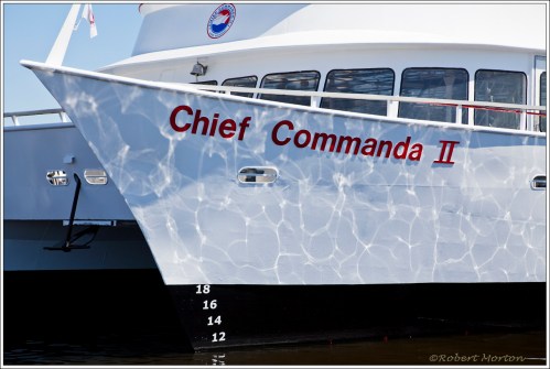 Chief Commanda 2