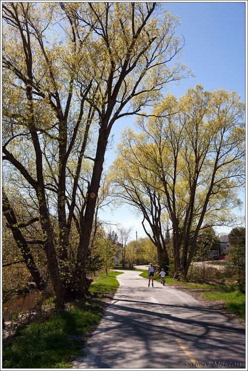 Spring Bike Path