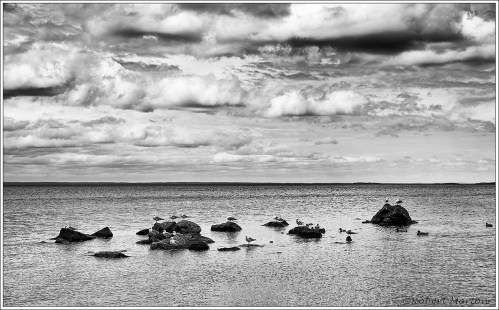 Rocks Clouds Seagulls