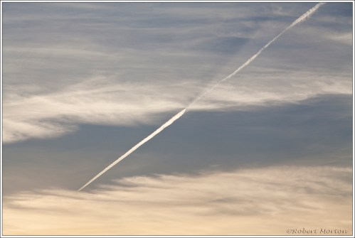 Contrail