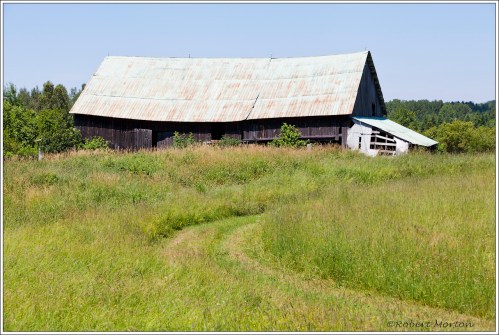 Green Roof