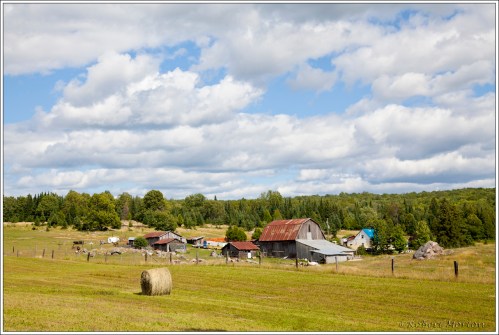 Northern Ont Farm