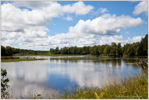 South River Alsace Road