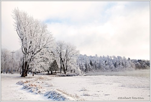 Morning Frost