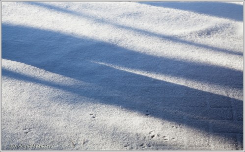 Snow Shadows