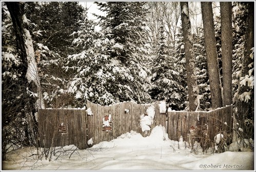 Snowy Gate