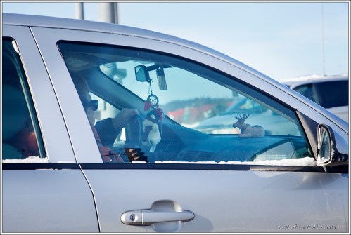 Travelling Companions