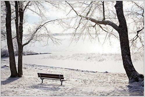 Waiting For Freeze-up