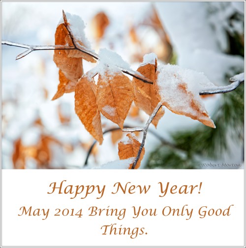 Happy New Year 2014