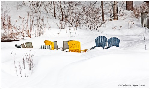 Muskoka Chairs Snow