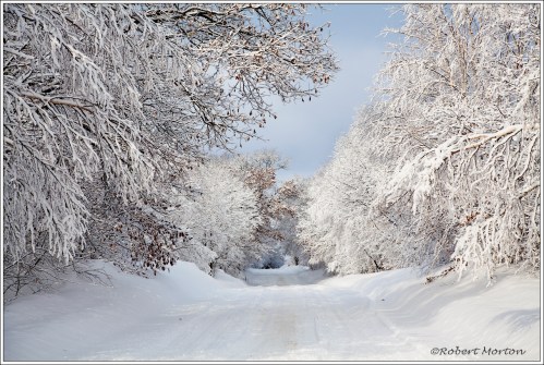 Winter Road