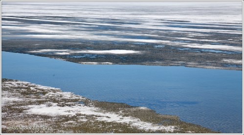 Spring Ice Trout Lake
