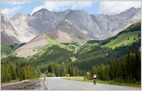 Kananaskis Cyclist