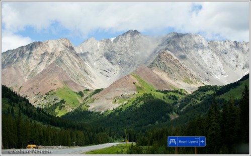 Mount Lipsett Picnic