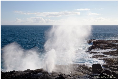 Blowhole