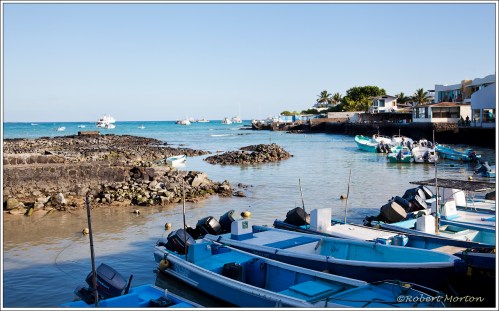 Puerto Ayora Harbour