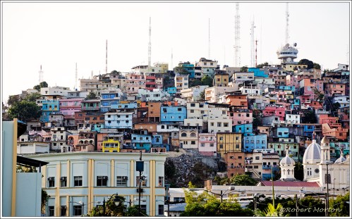 Guayaquil Neighborhood