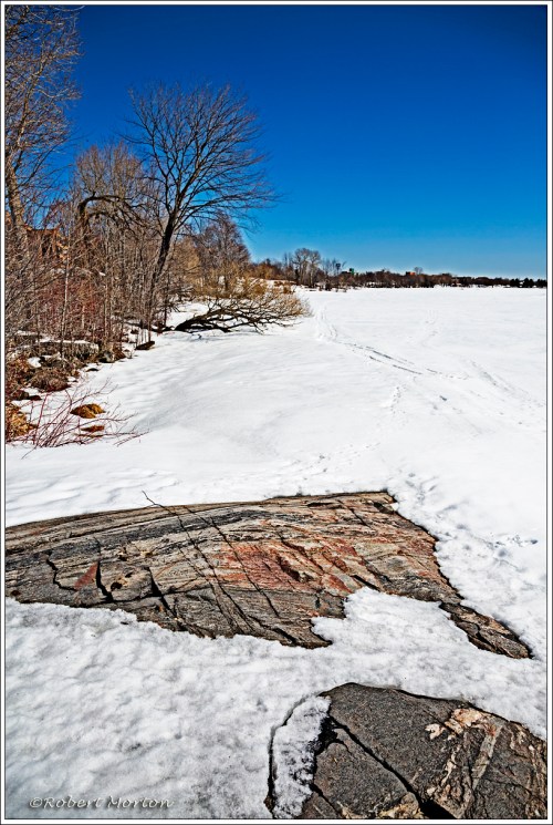 Emerging from Winter