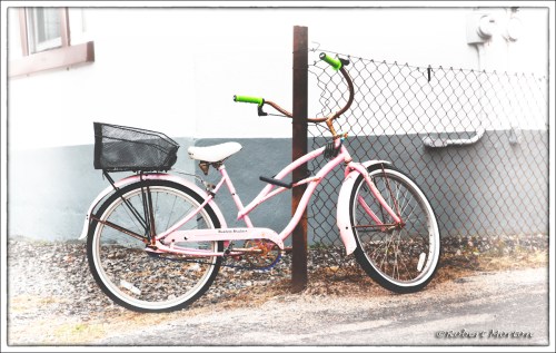 _MG_7277 High Key Expt.