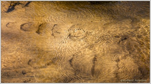 Stream Ripples