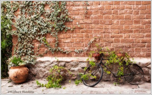 Bicycle Planter IIA2 Warm