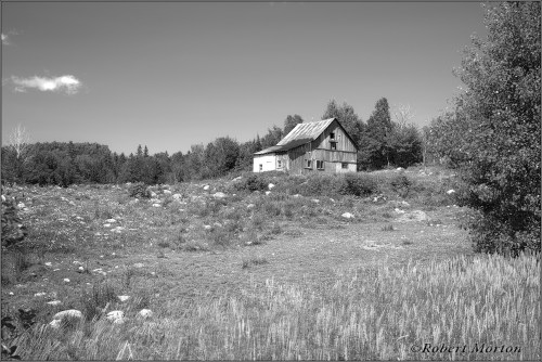 Chisolm Rock Pasture Mono