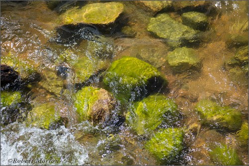 Stones Water Sun