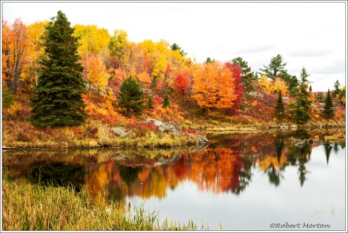 Autumn at the Pond
