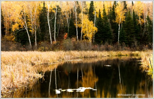 _C3A8523 TK Lum Mask Glow