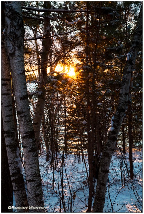 _C3A9586 TK Lum Mask DB Sh Bl