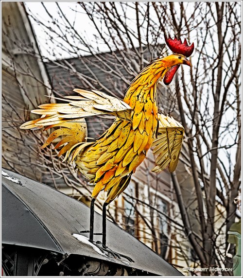 Good Morning Cassells