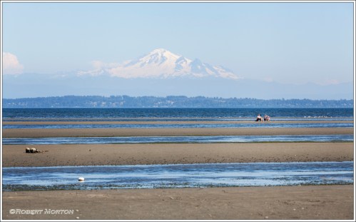 Ignoring Mount Baker
