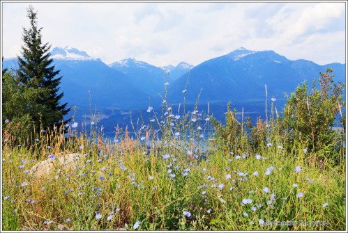 Columbia River Revelstoke