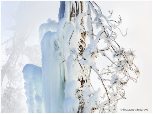 Icicle Tree