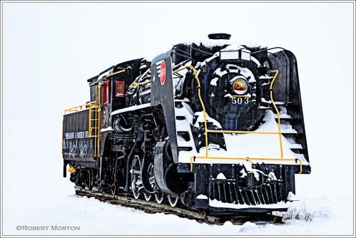 Locomotive 503 Galer