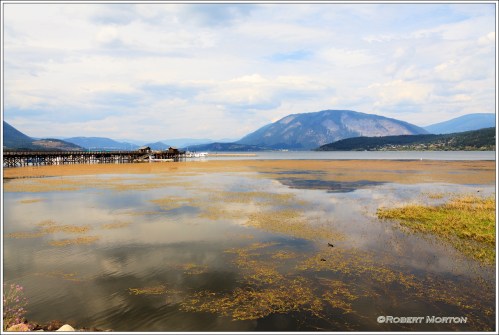 Salmon Arm Harbour