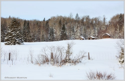 Winter Barns