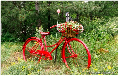 Red Bike II