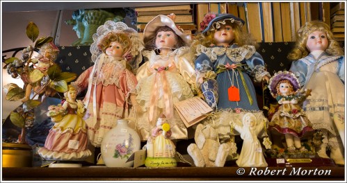 Awaiting a New Adventure