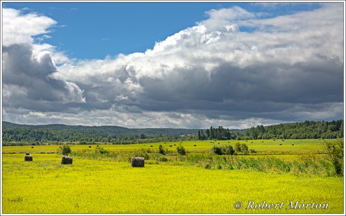 Powassan Field HDR Galer