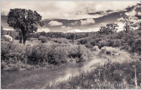 Wassi River Summer II