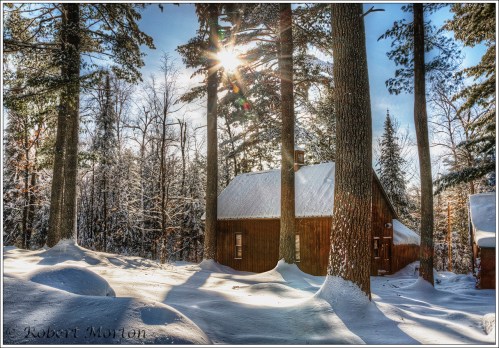 pines-and-structure-ii