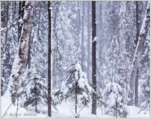 _c3a6138-edit-edit-edit-edit-edit-2